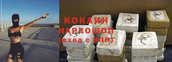 шишки Ессентукская