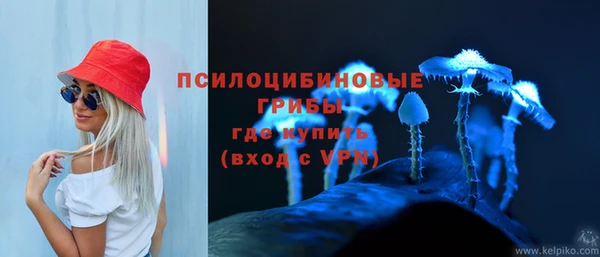 дмт Новосибирск