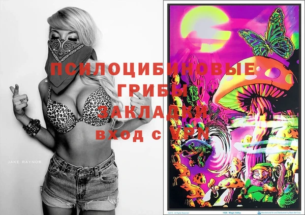 стаф Тольятти