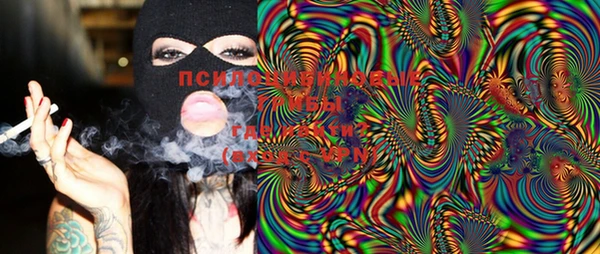 бошки Барнаул