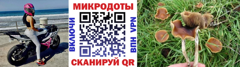 Галлюциногенные грибы мухоморы  Купить  Протвино 